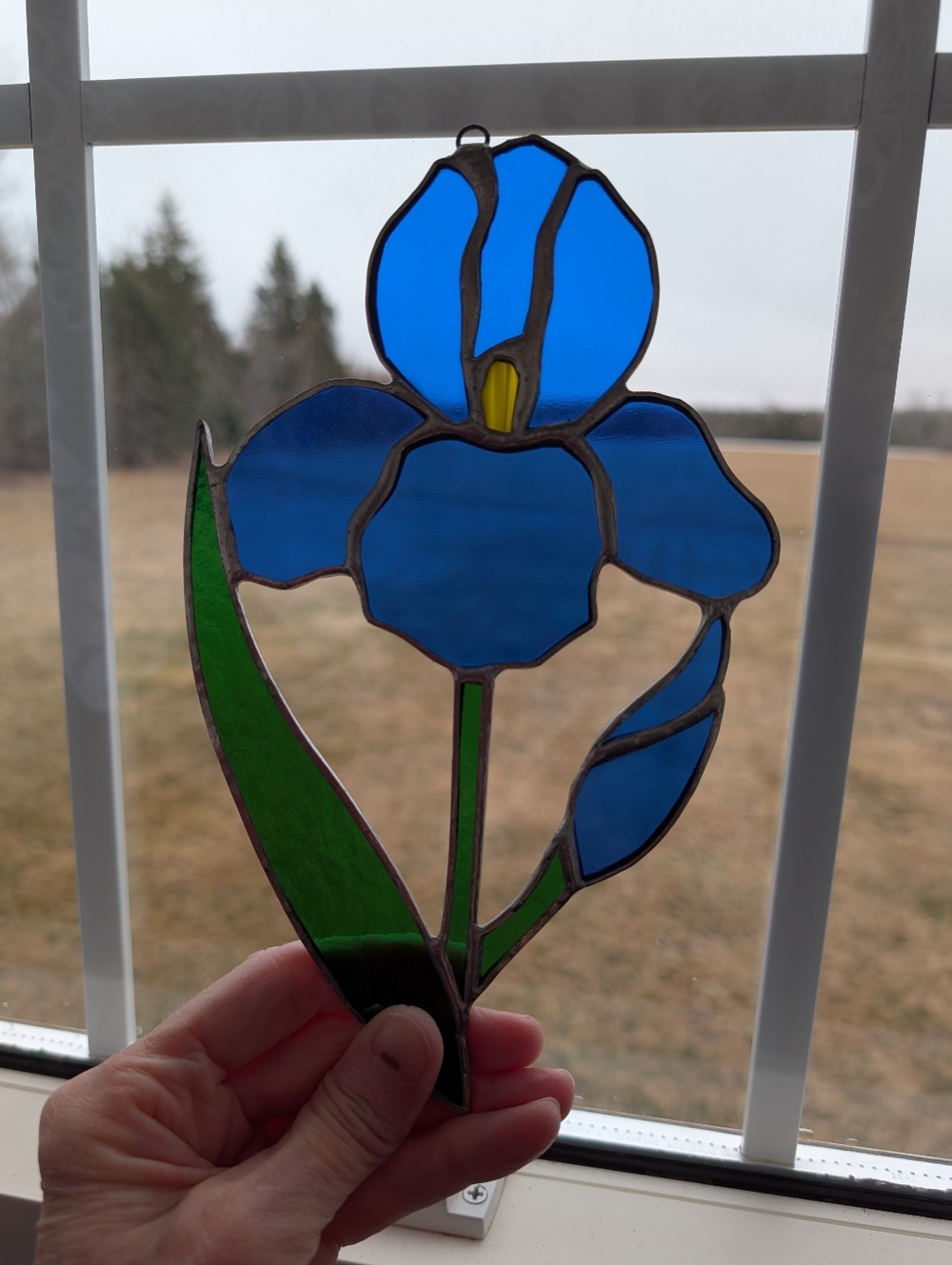 Blue Iris Flower Stained Glass Sun Catcher 8.5" Window Ornament